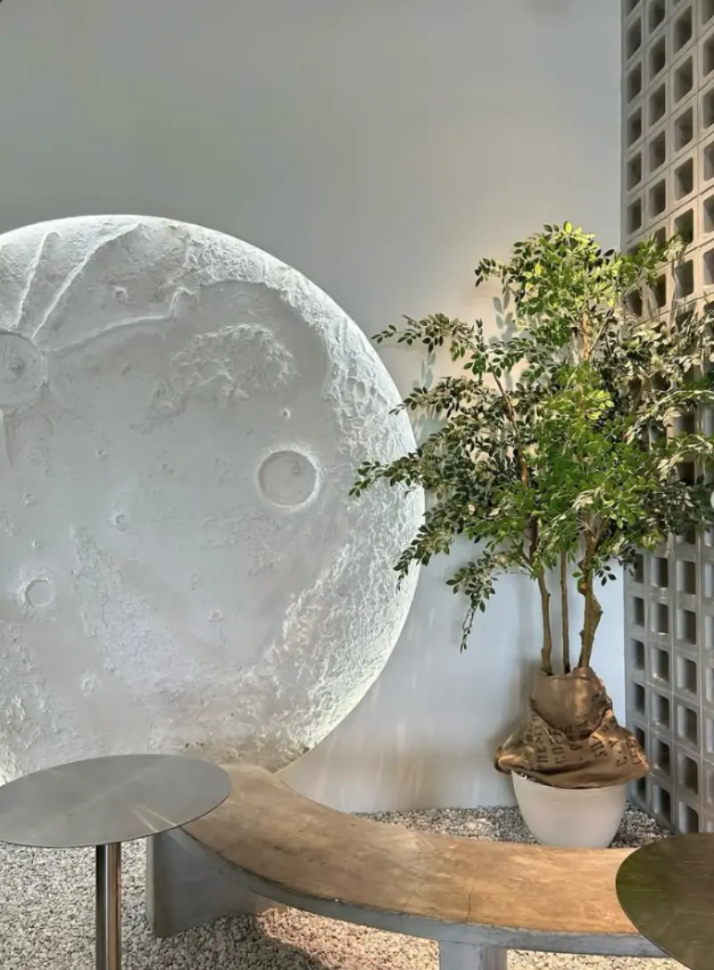 A large moon sculpture, a potted tree and a curved wooden bench inside Hulu