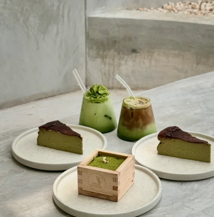 Burnt matcha cheesecake and iced matcha drinks